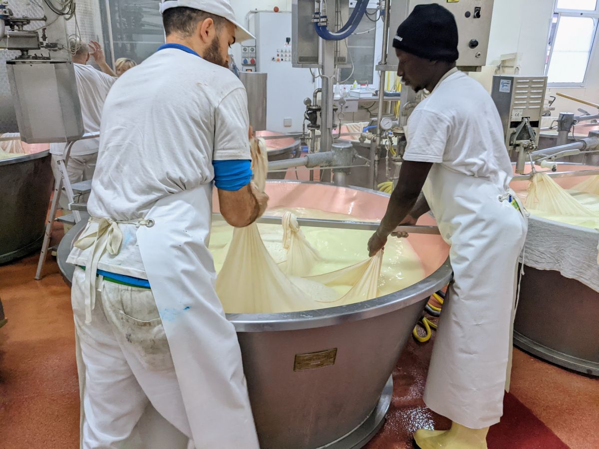 Straining the cheese