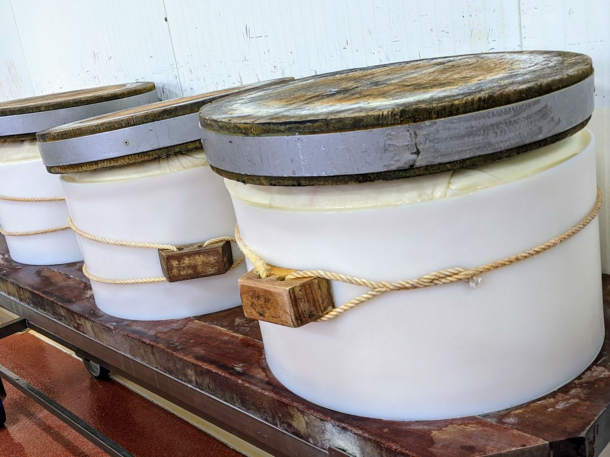 Molds shaping the cheese