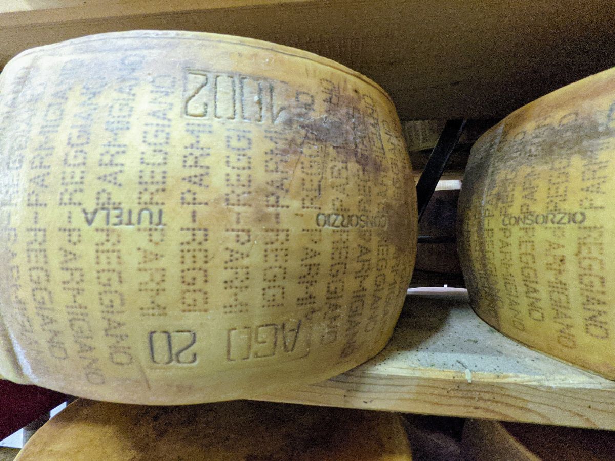 Close-up of a cheese wheel