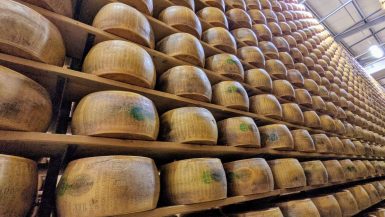 Stacks of cheese wheels