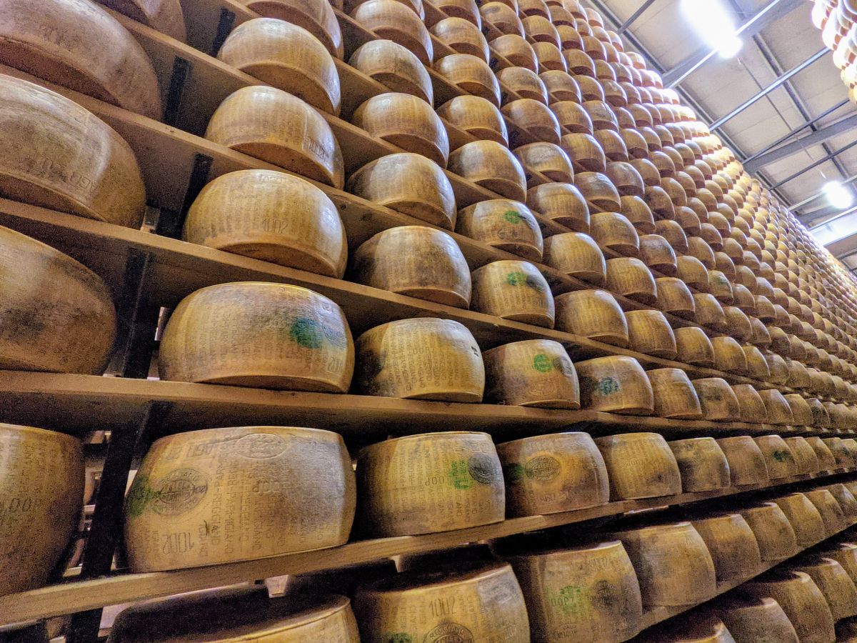 Stacks of cheese wheels