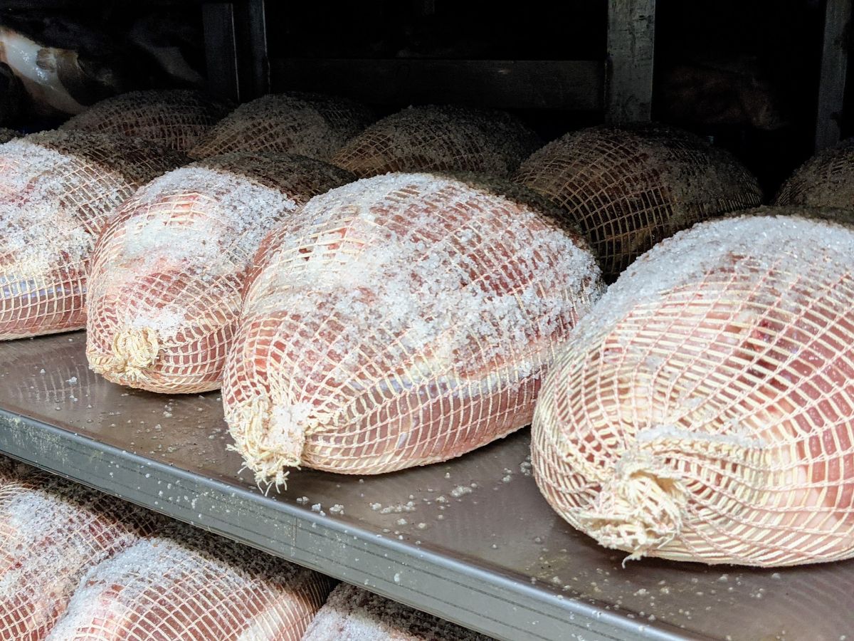 Some kind of salumi curing on a shelf