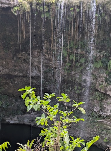 A Cenote in the Yukutan